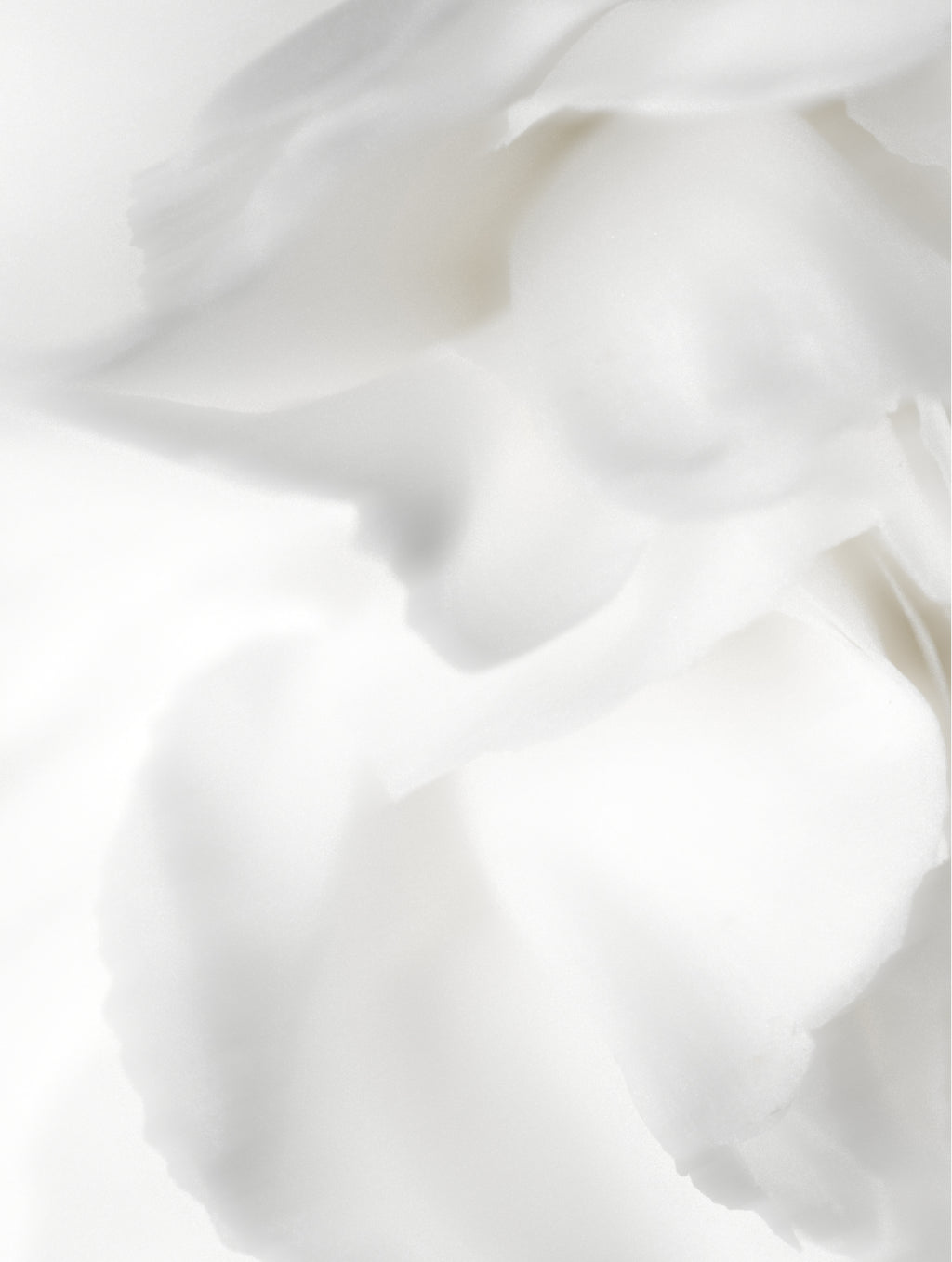 Hair Repair & Shine Duo