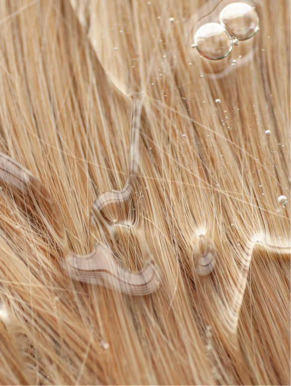 Gloss Shampoo, Smoky Green Vetiver