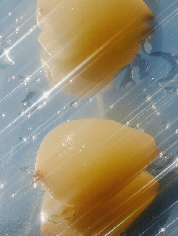 Fresh Conditioner, Citrus Cocktail